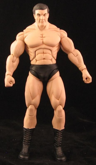 Illustration for article titled A Winner is These Custom NES Pro Wrestling Figures